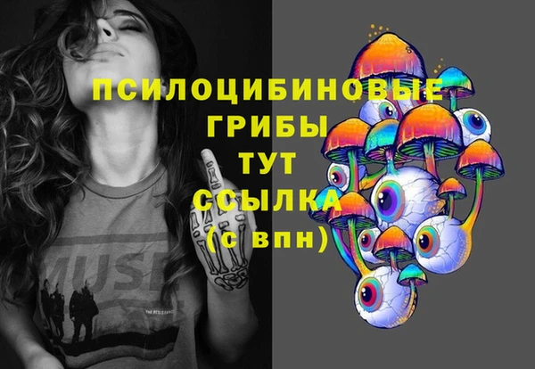 apvp Заволжье