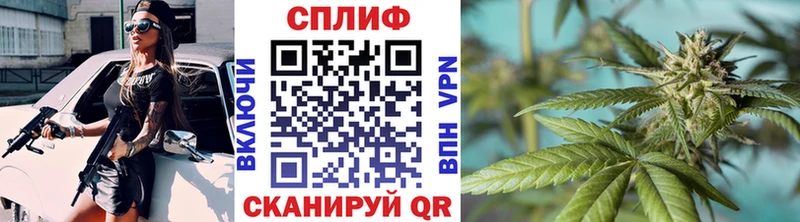 Бошки Шишки планчик  мега маркетплейс  Саянск  как найти наркотики 